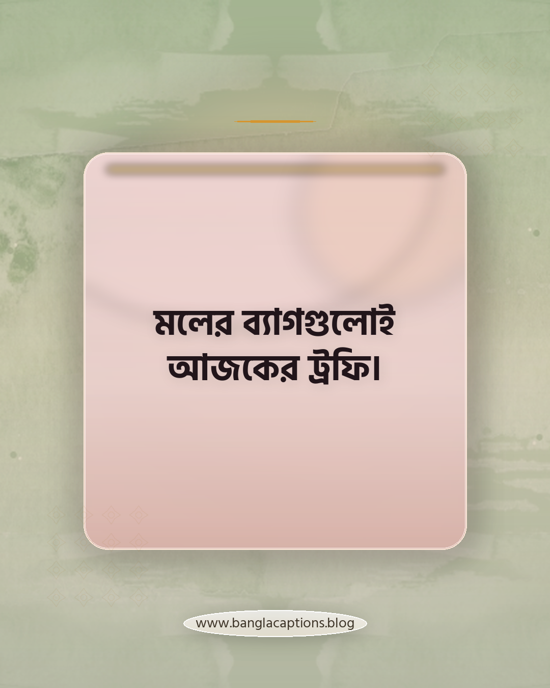 মলের ব্যাগগুলোই আজকের ট্রফি। - শপিং মল নিয়ে ক্যাপশন