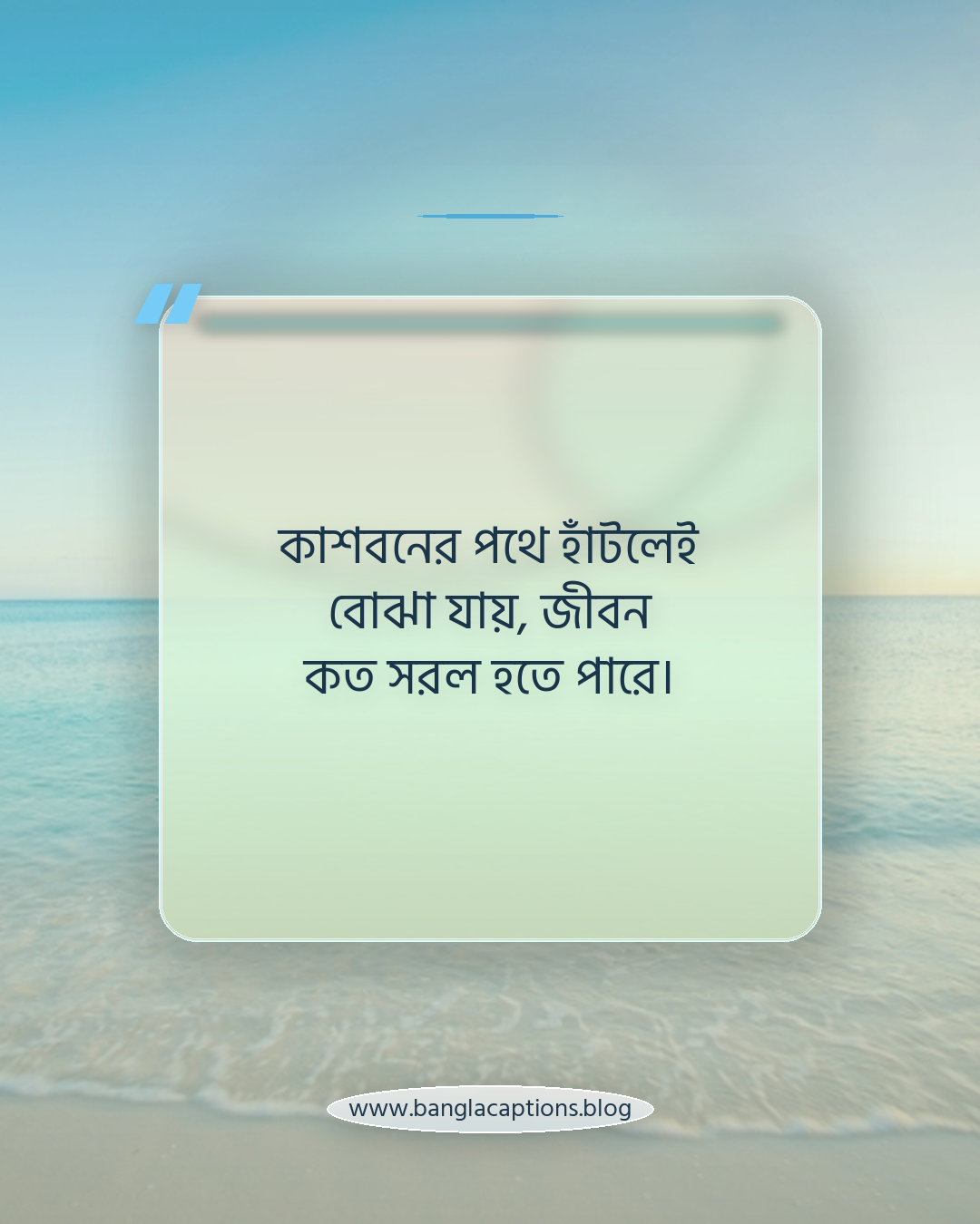 কাশবনের পথে হাঁটলেই বোঝা যায়, জীবন কত সরল হতে পারে। - শরৎ নিয়ে উক্তি