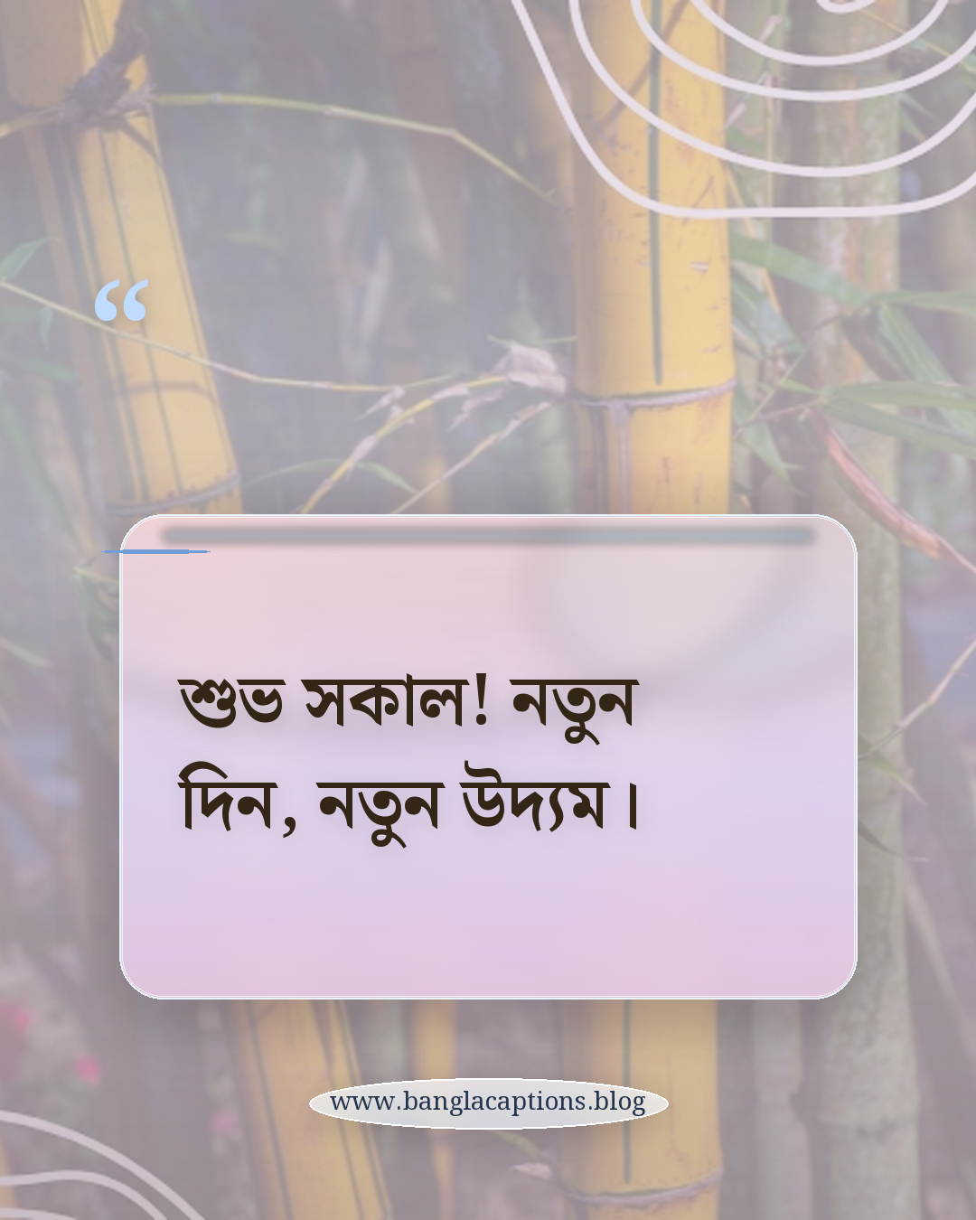 শুভ সকাল! নতুন দিন, নতুন উদ্যম। - শুভ সকাল স্ট্যাটাস