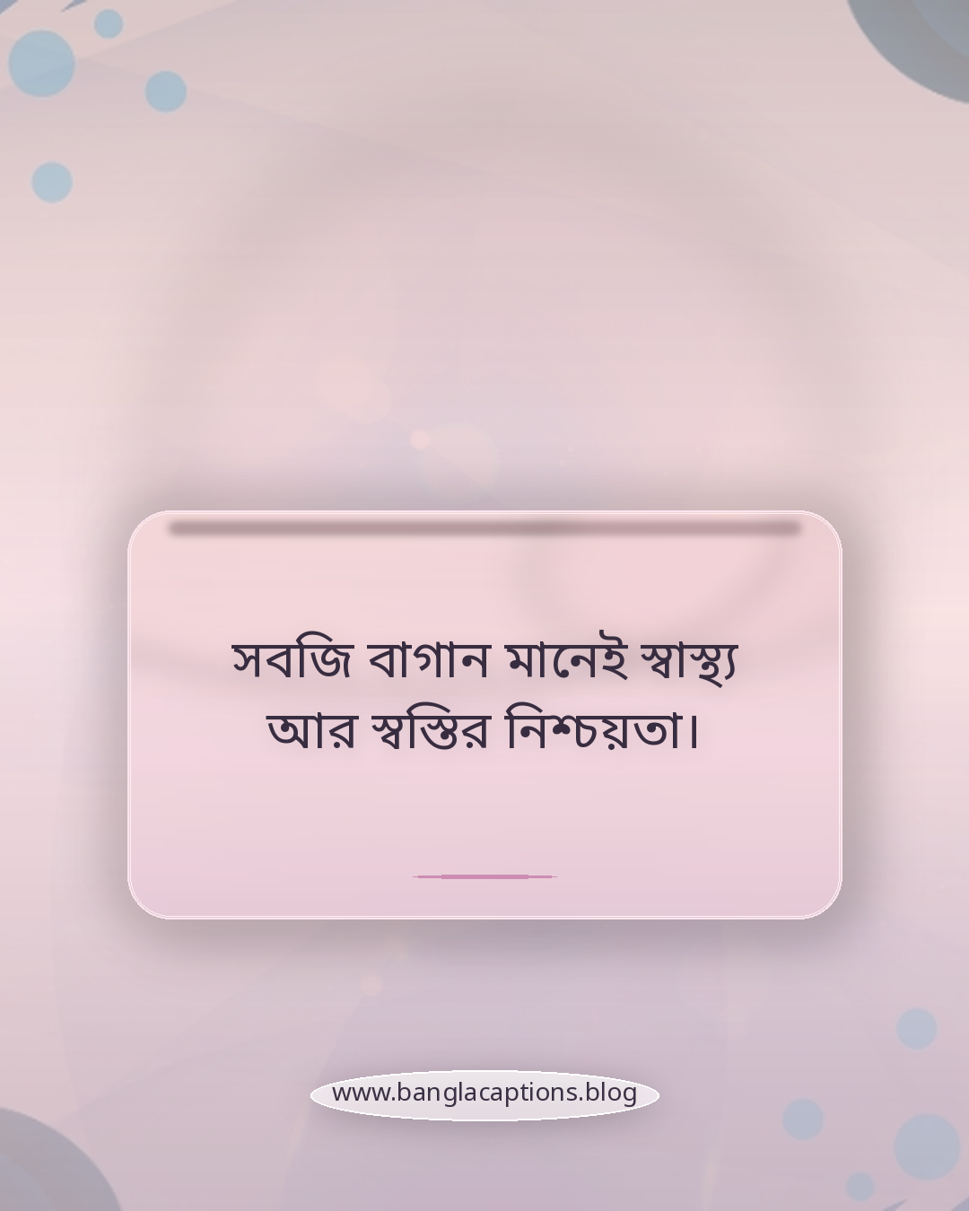 সবজি বাগান মানেই স্বাস্থ্য আর স্বস্তির নিশ্চয়তা। - সবজি বাগান নিয়ে ক্যাপশন