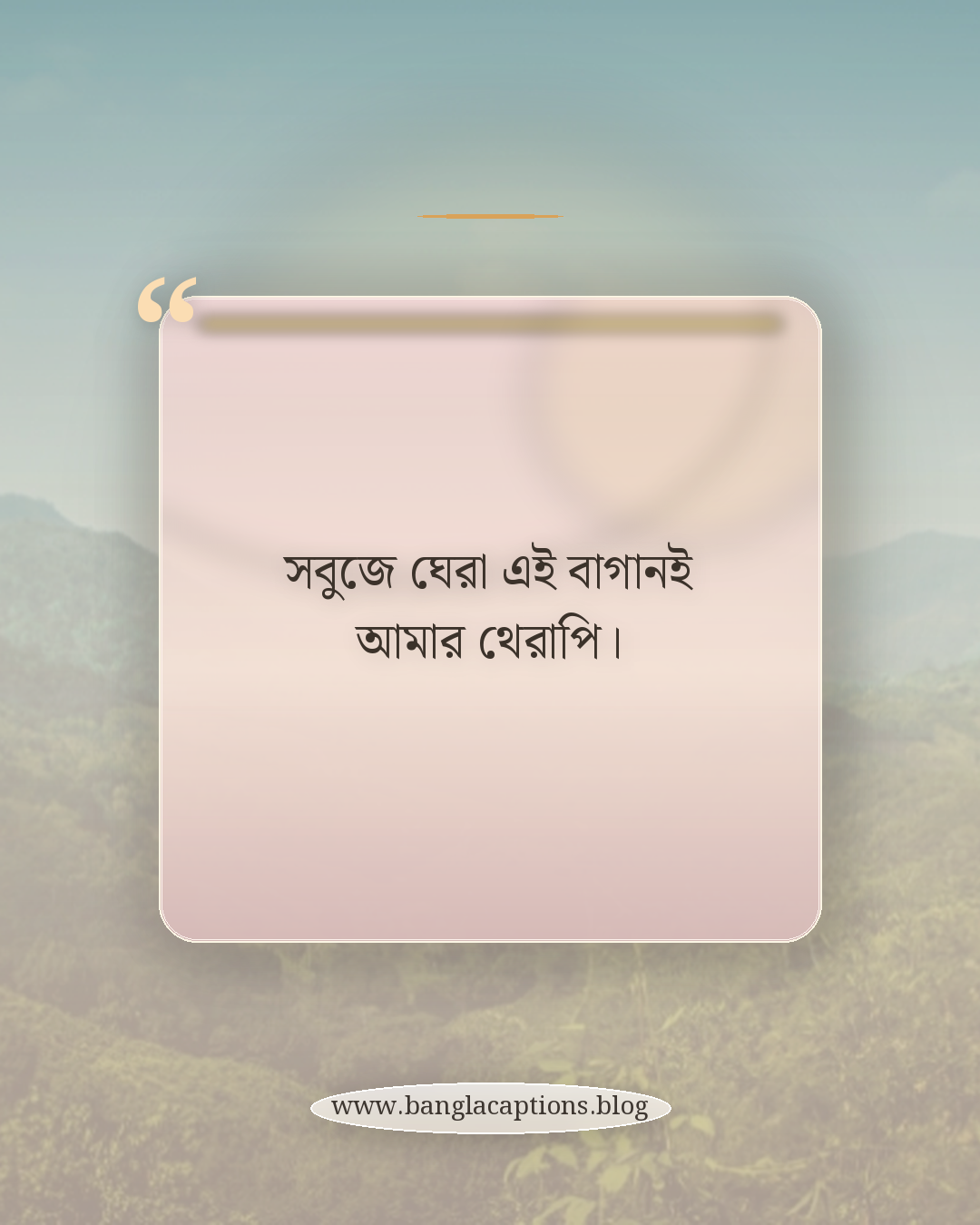 সবুজে ঘেরা এই বাগানই আমার থেরাপি। - সবজি বাগান নিয়ে ক্যাপশন