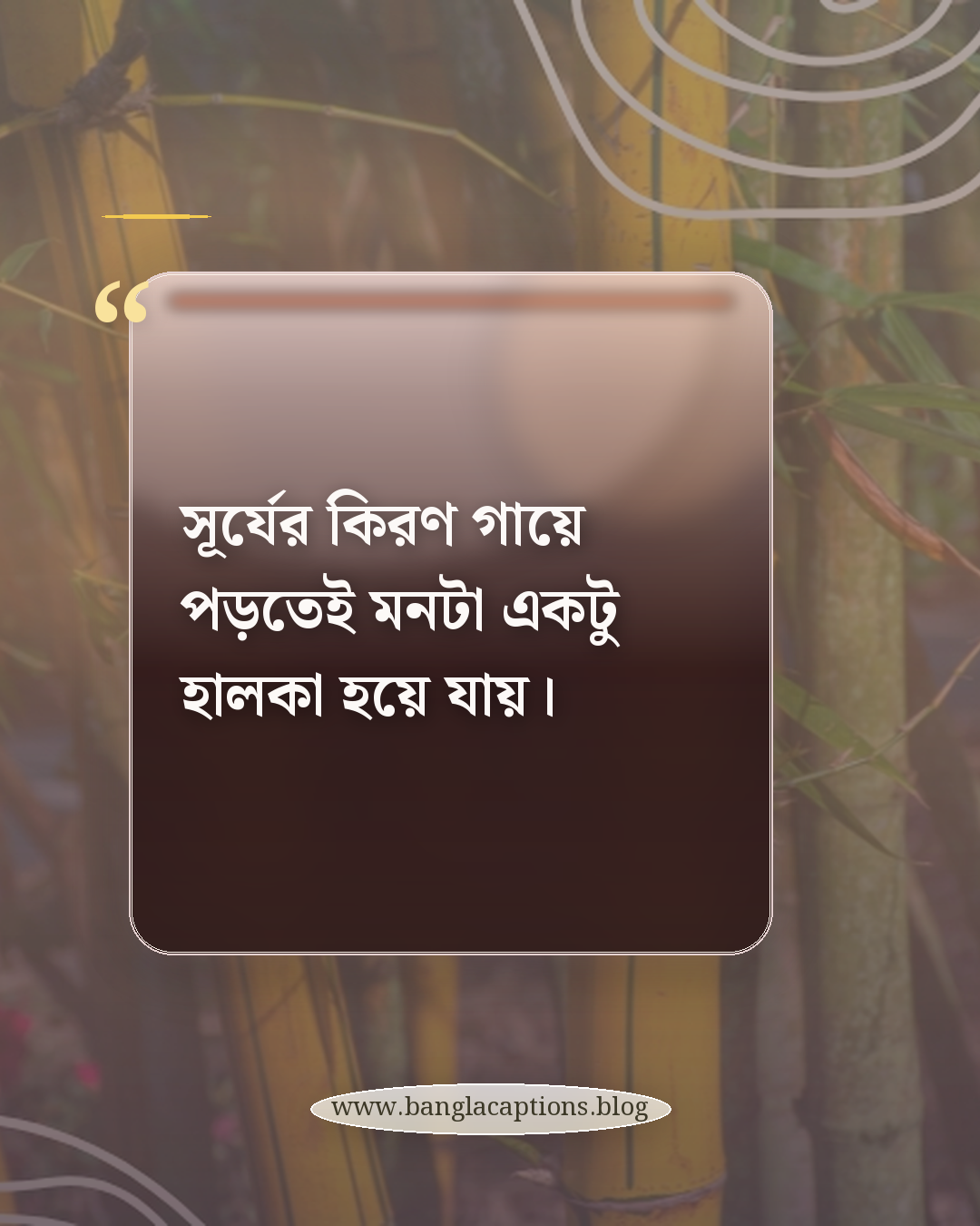 সূর্যের কিরণ গায়ে পড়তেই মনটা একটু হালকা হয়ে যায়। - সূর্যের কিরণ নিয়ে ক্যাপশন