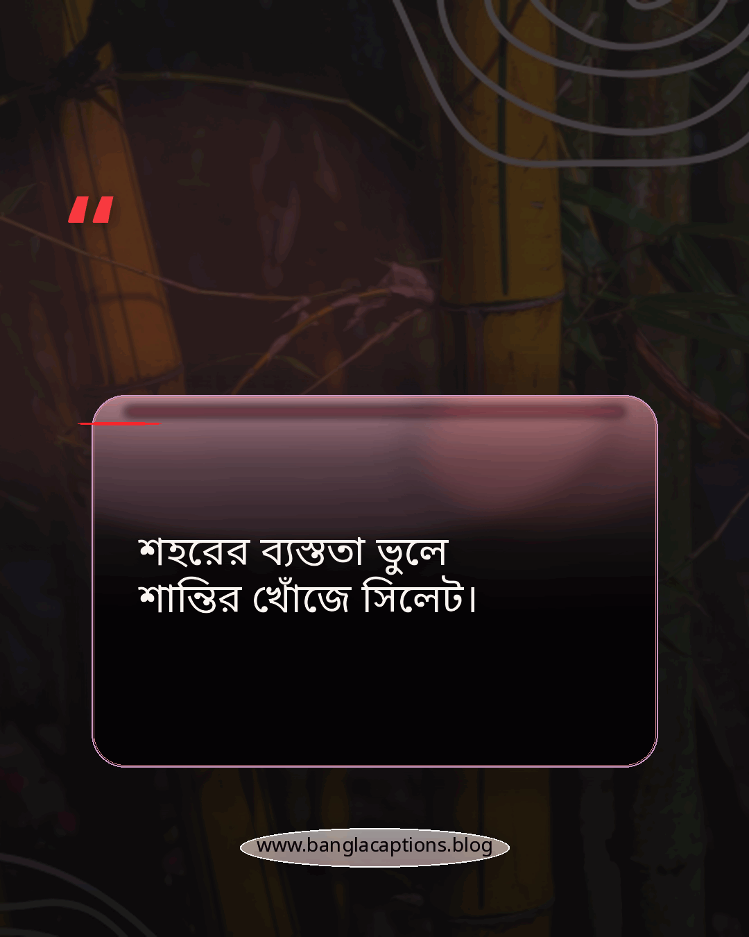 শহরের ব্যস্ততা ভুলে শান্তির খোঁজে সিলেট। - সিলেট নিয়ে ক্যাপশন