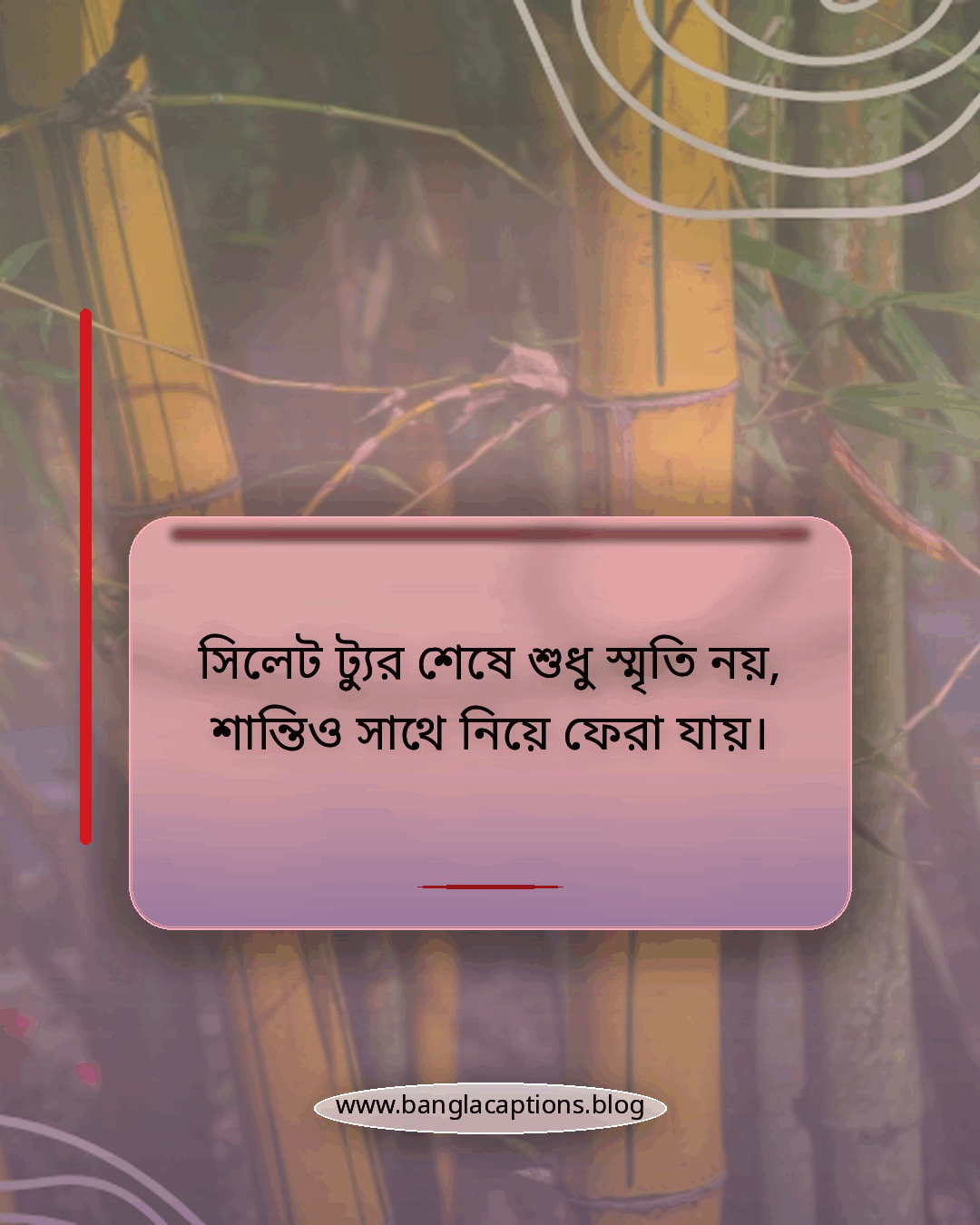 সিলেট ট্যুর শেষে শুধু স্মৃতি নয়, শান্তিও সাথে নিয়ে ফেরা যায়। - সিলেট ভ্রমণ নিয়ে কিছু কথা