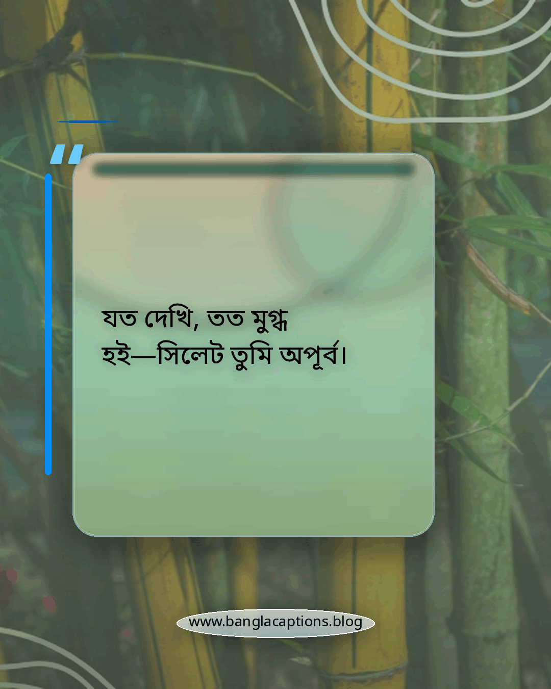 যত দেখি, তত মুগ্ধ হই—সিলেট তুমি অপূর্ব। - সিলেট ভ্রমণ নিয়ে স্ট্যাটাস