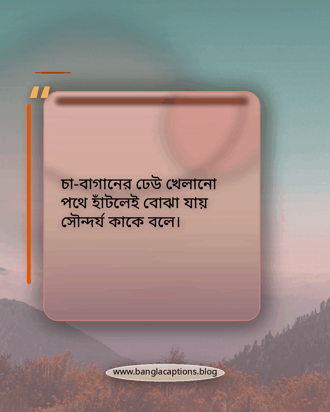 চা-বাগানের ঢেউ খেলানো পথে হাঁটলেই বোঝা যায় সৌন্দর্য কাকে বলে। - সিলেটের সৌন্দর্য নিয়ে ক্যাপশন
