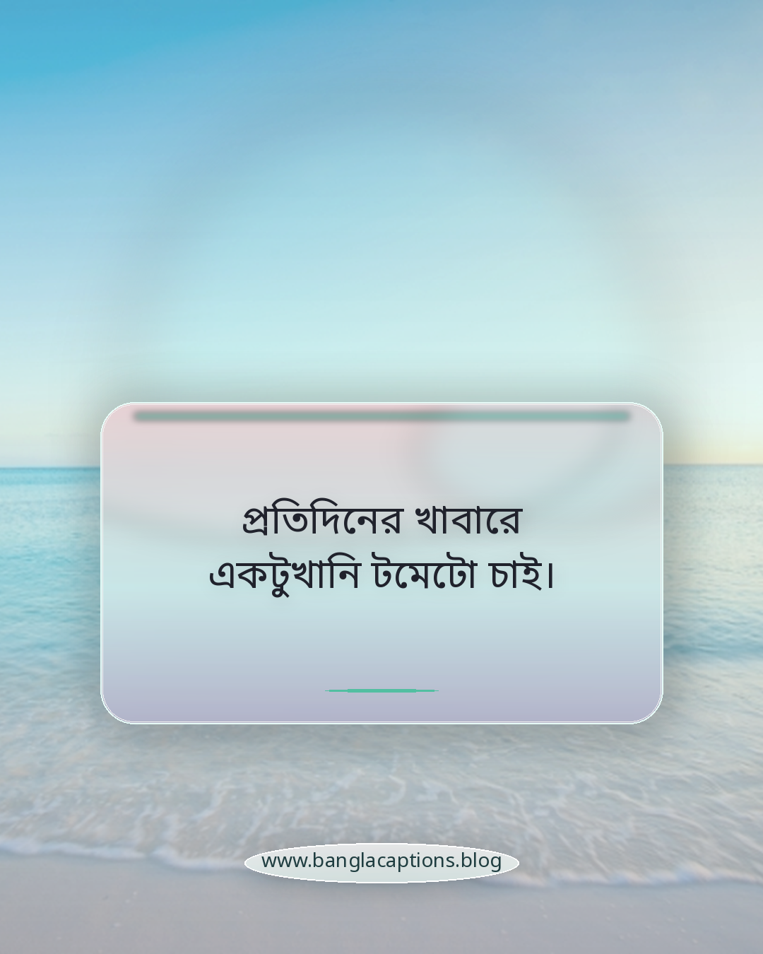 প্রতিদিনের খাবারে একটুখানি টমেটো চাই। - টমেটো নিয়ে ক্যাপশন