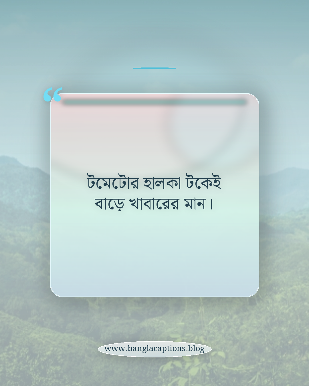 টমেটোর হালকা টকেই বাড়ে খাবারের মান। - টমেটো নিয়ে ক্যাপশন